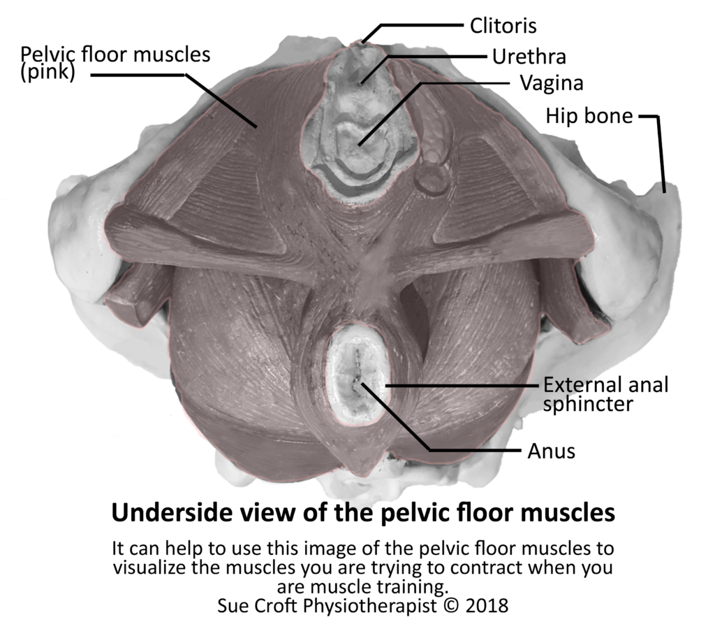 Managing Faecal Incontinence and more of the Nightmare that is 2022 ...